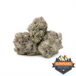 Sun Peaks Cultivation - Star Dusted - Miracle Mango