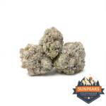 Sun Peaks Cultivation - Star Dusted - Miracle Mango
